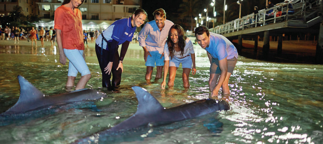 Tangalooma Dolphin Feeding Adventure Tour from Brisbane
