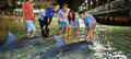 Tangalooma Island Resort Day Tour including Desert Safari and Dolphin Feeding Thumbnail 3