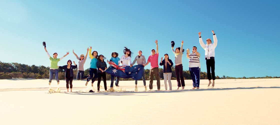 Tangalooma Dolphin Feeding Adventure Tour from Brisbane