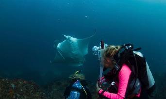 Introductory Scuba Dive Course in Byron Bay Thumbnail 5