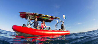 Scuba Dive Refresher Courses in Byron Bay Thumbnail 4