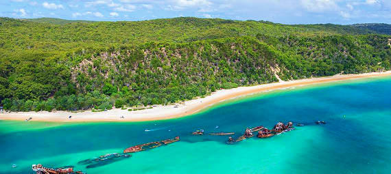 Brisbane to Tangalooma Island Resort Day Tour