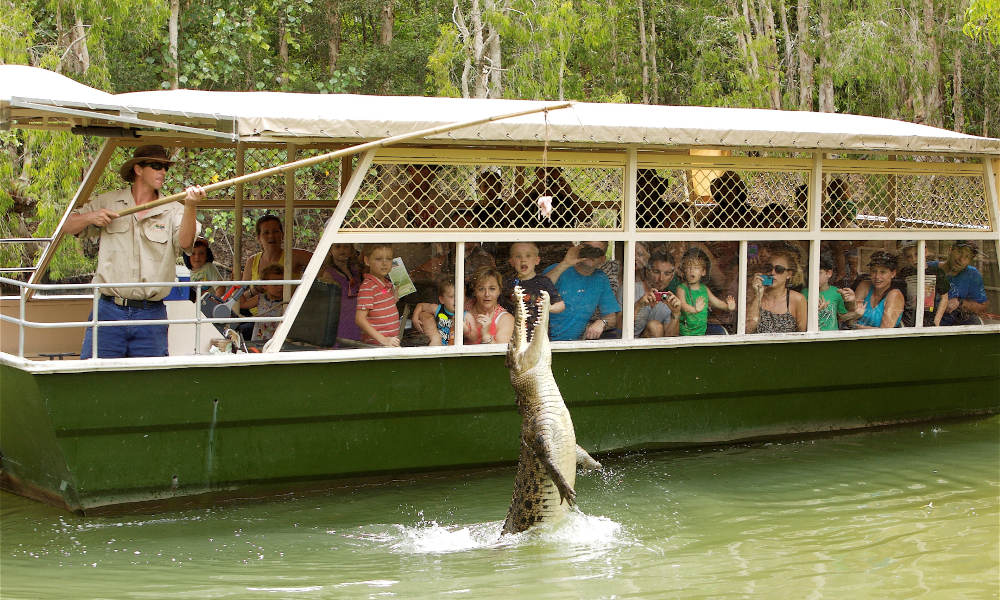 Hartley's Crocodile Adventures Half Day Tour from Cairns 1 Spence St Cairns QLD 4870