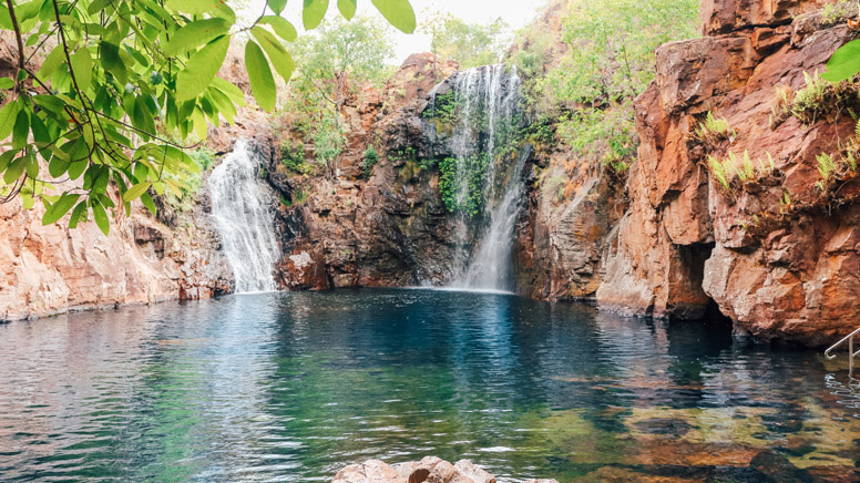 Litchfield National Park Day Tour with Lunch