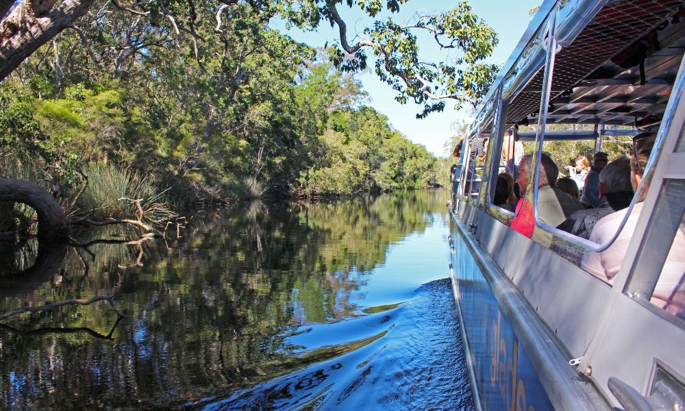 Noosa Everglades Serenity Cruise - Half Day