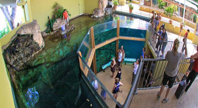 Crocosaurus Cove General Admission