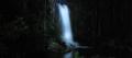 Evening Rainforest, Waterfall and Glow Worm Guided Tour Thumbnail 1