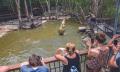 Hartleys Crocodile Adventures Croc Feed Experience Thumbnail 3