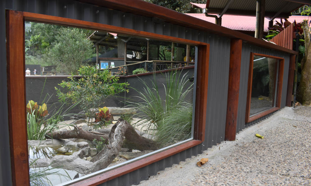 Kuranda Koala Gardens Entry Tickets