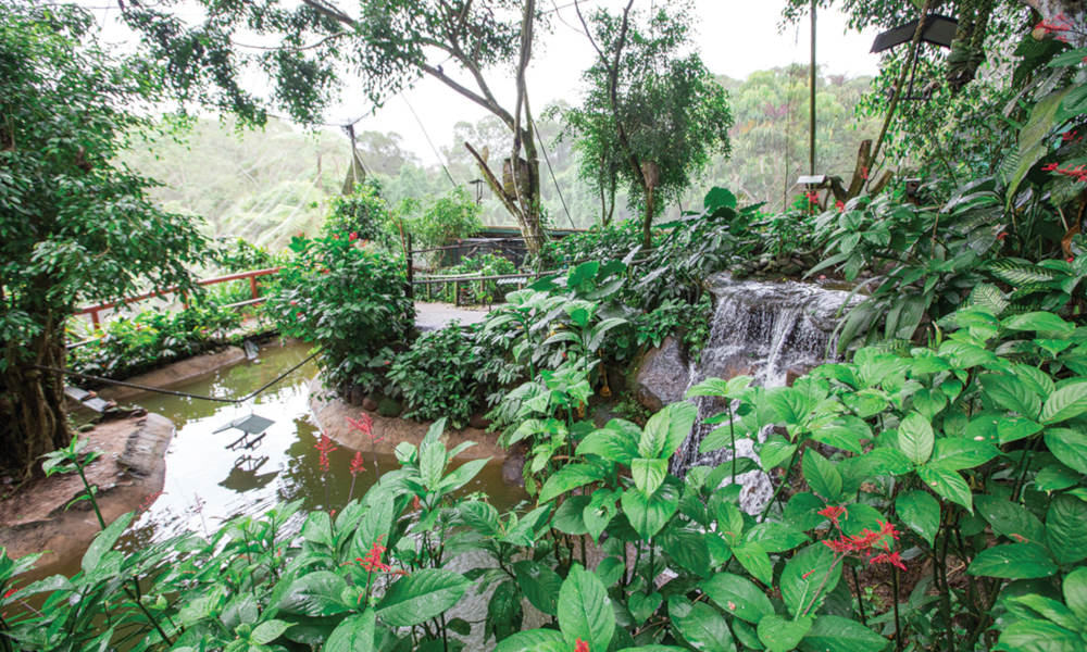 Birdworld Kuranda Entry Tickets