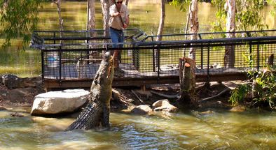 Hartleys Crocodile Adventures Tickets