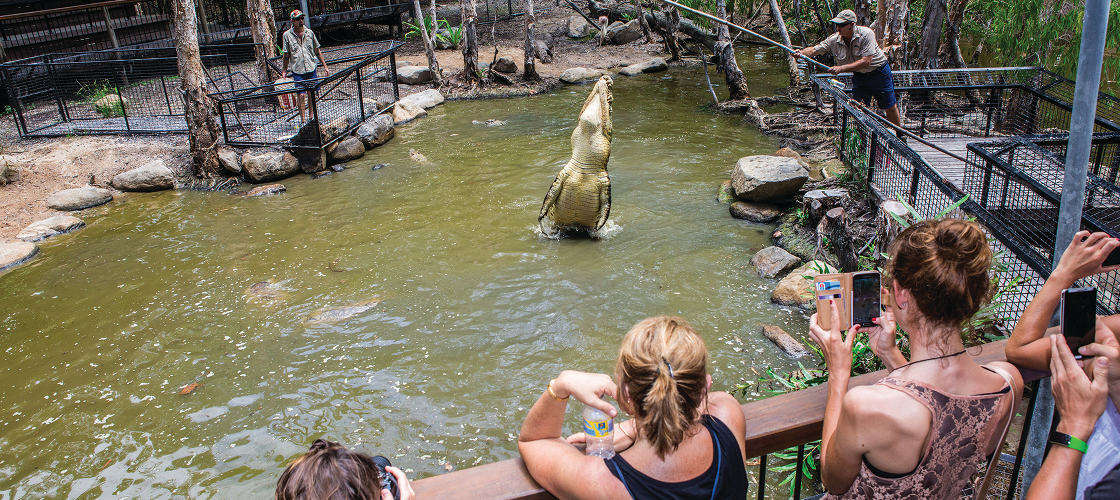 Hartleys Crocodile Adventures Entry Tickets