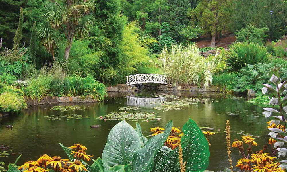 Hobart City Tour with MONA Ferry & Entry