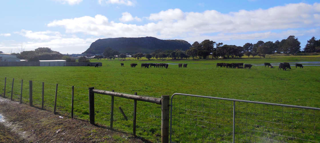 Stanley Day Tour from Burnie, Devonport or Ulverstone