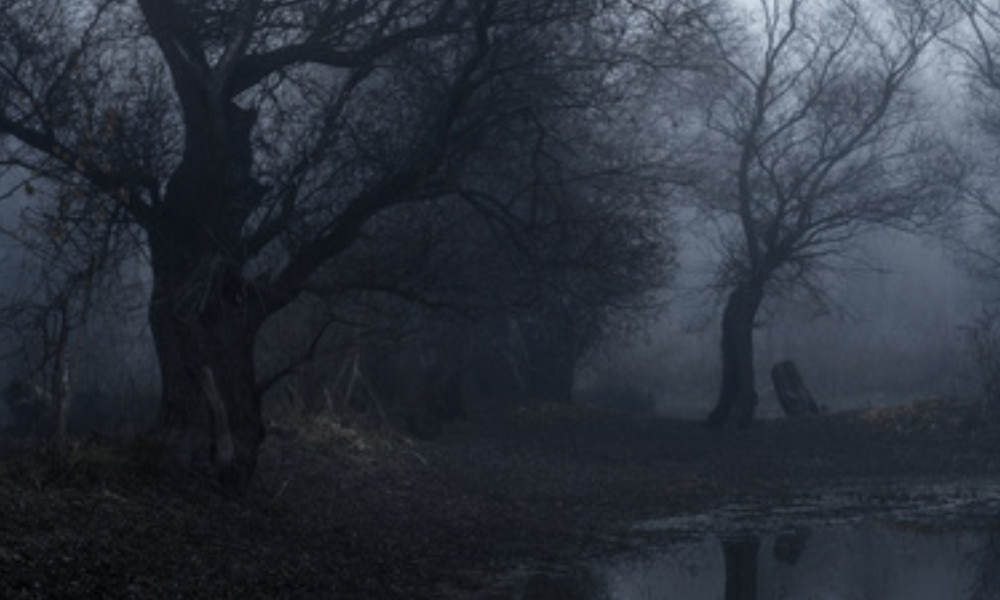 Eynesbury Homestead Dinner and Ghost Tour