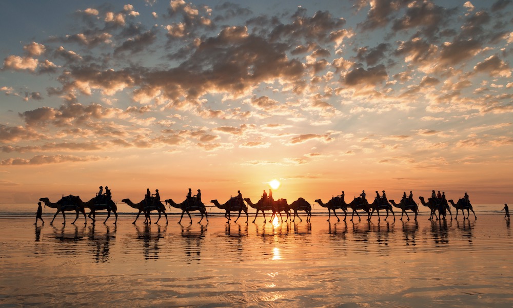 Half Day Broome Sightseeing Tour with Optional Camel Ride