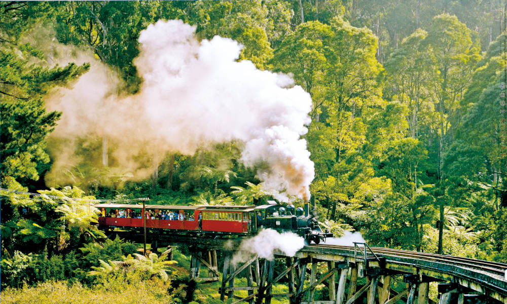 Puffing Billy and Dandenongs Half Day Tour Flinders & Russell St Melbourne VIC 3000