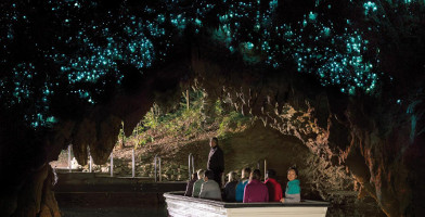 Waitomo Glowworm Express Tour return Rotorua 39 Waitomo Caves Rd Waitomo NZ 3977
