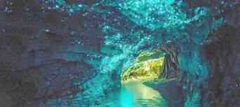 Waitomo Glowworm Caves Admission and Guided Tour Thumbnail 4