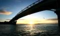 Auckland Bridge Bungy Jumping Thumbnail 6