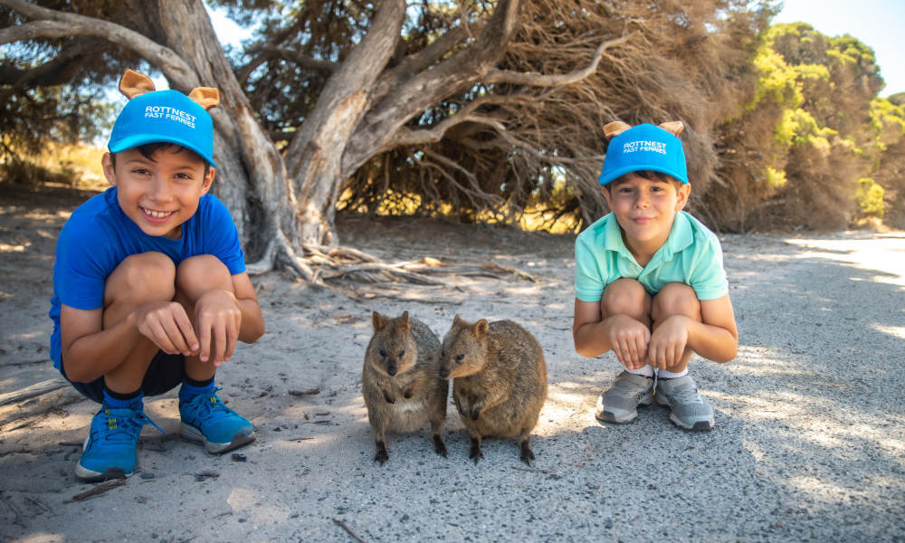 Rottnest Island Guided Bus Tour and Ferry Combo
