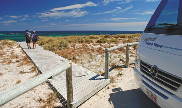 Rottnest Island Guided Bus Tour and Ferry Combo
