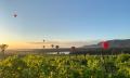 Sunrise Hunter Valley 1 Hour Hot Air Balloon Flight Thumbnail 5