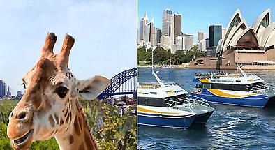Taronga Zoo Entry including Sky Safari Cable Car and Ferry Pass