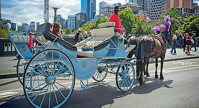Melbourne Horse Carriage Rides