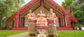 Waitangi Treaty Grounds Hangi Dinner and Concert with Admission Thumbnail 6