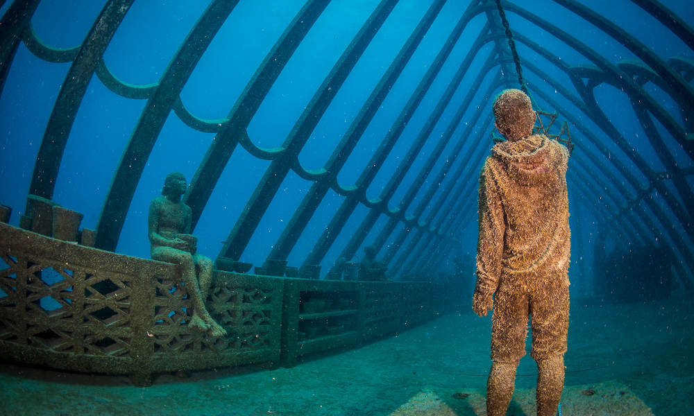 Townsville Outer Great Barrier Reef Diving Tour  Experience Oz