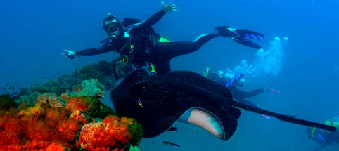 Yongala Wreck Dive Trip from Townsville and Magnetic Island