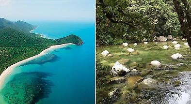 Cape Tribulation and Mossman Gorge Day Tour