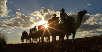 Uluru Sunrise Camel Tour Book Now Experience Oz