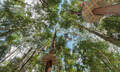 TreeTop Adventure Park Central Coast - 2.5 Hours Thumbnail 6