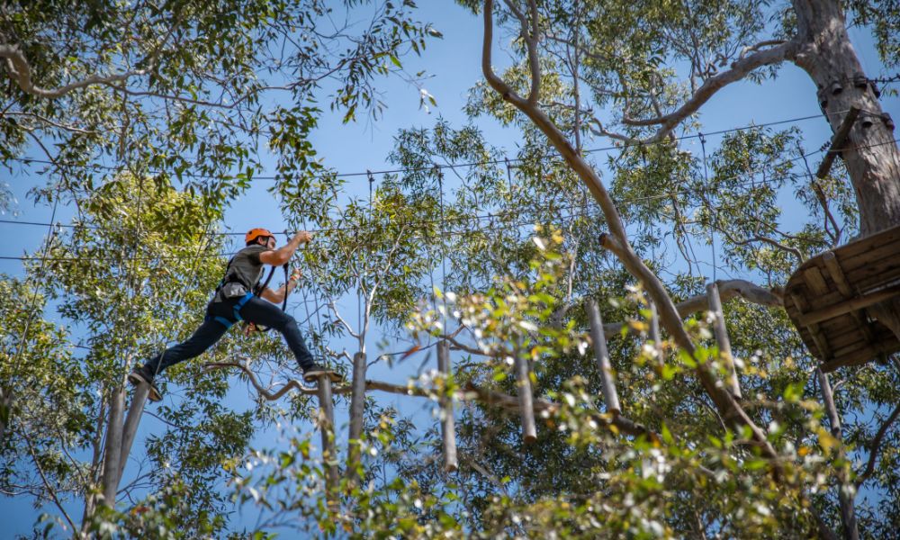 Treetops Adventure Western Sydney - 2.5 Hours
