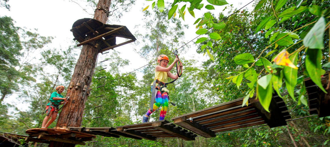 TreeTop Adventure Park Sydney Book Now Experience Oz