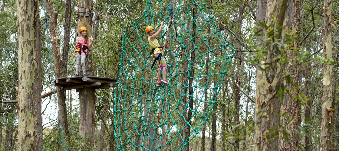 Western Sydney Treetop Adventure Park