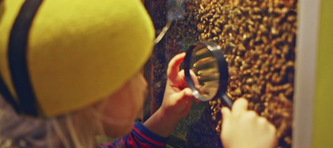 The Ginger Factory Play Bundle