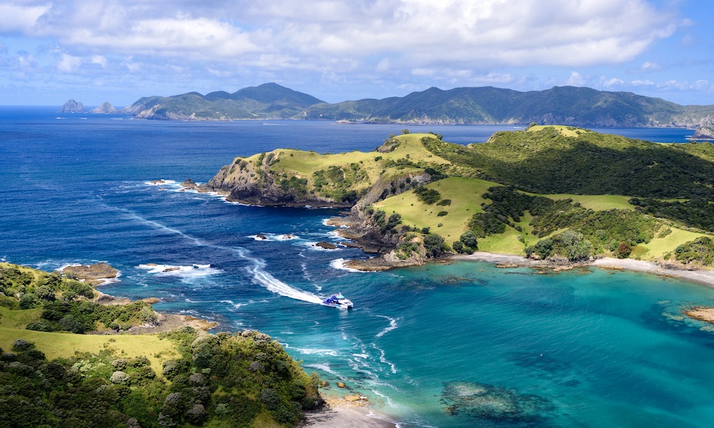 Top Things to do in the Bay of Islands 2023 Book Online Experience Oz