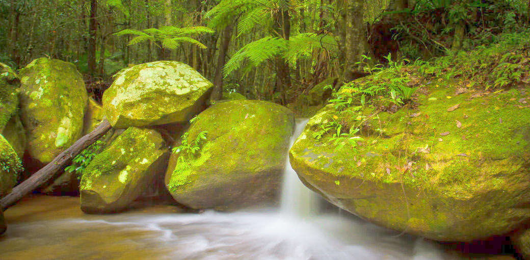 Blue Mountains Canyoning - Empress Canyon