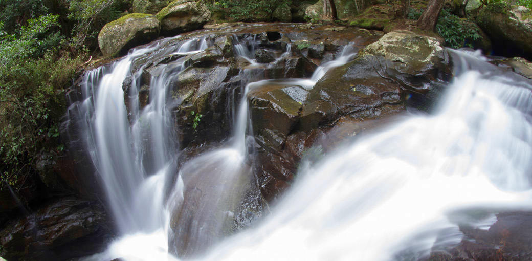 South Coast Canyoning - Rainforest Canyon