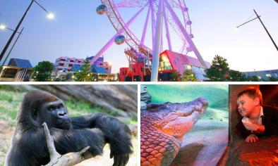 Melbourne Zoo, Aquarium and Melbourne Star Pass
