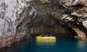Cathedral Cove Boat Tour Thumbnail 2