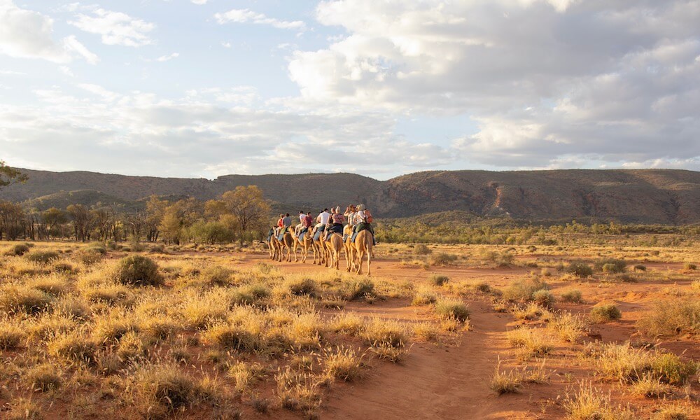 Alice Springs Noon Camel Ride