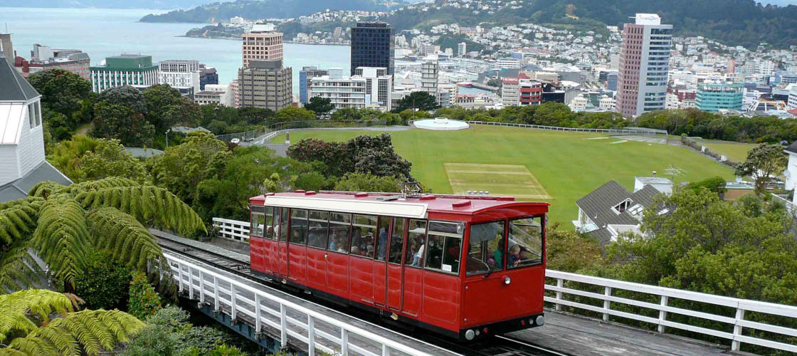 Wellington Hop On Hop Off Tours - 9.30am Tour