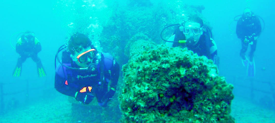 Moreton Island Scuba Diving