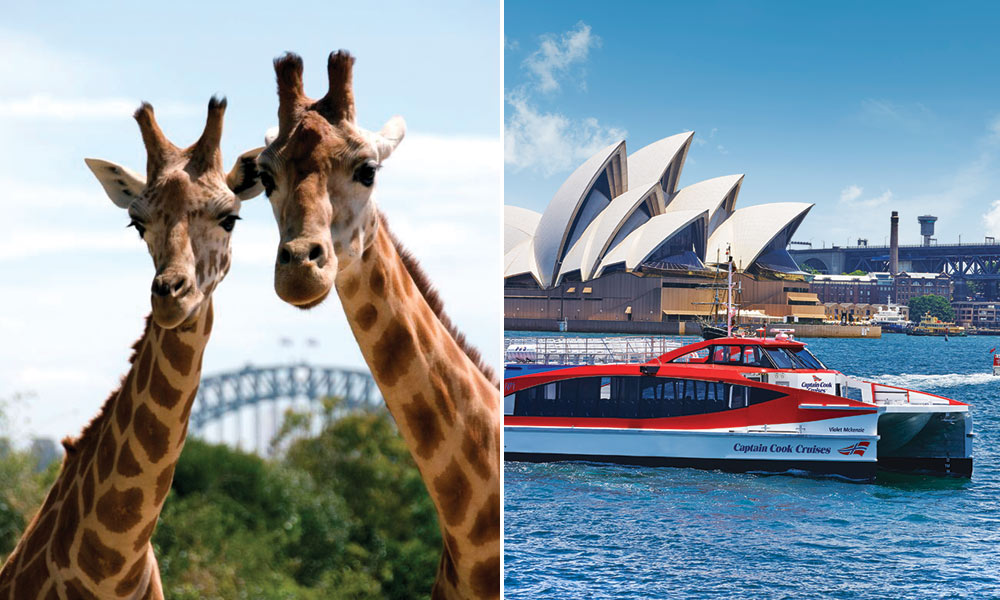 Taronga Zoo Entry and Harbour Ferry Pass with Sky Safari