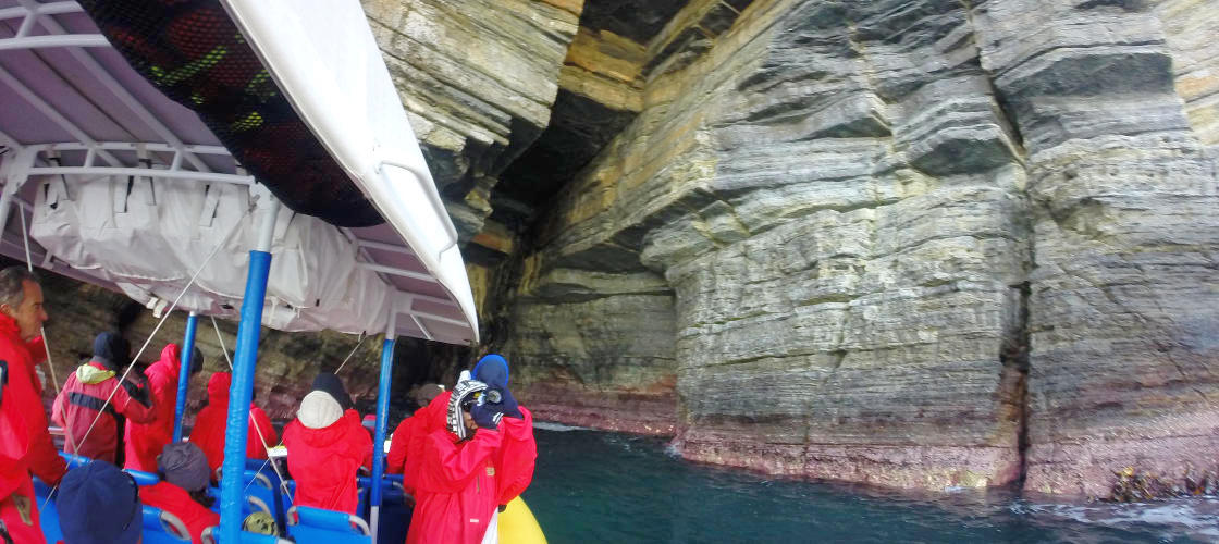 Tasman Island Cruise from Port Arthur