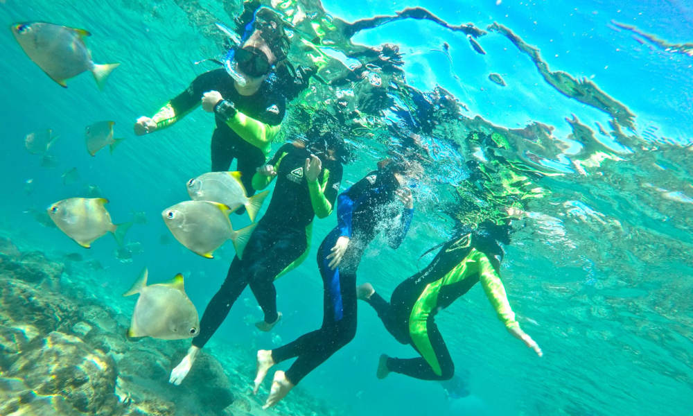 Gold Coast Kayaking and Snorkelling Tour to Wavebreak Island